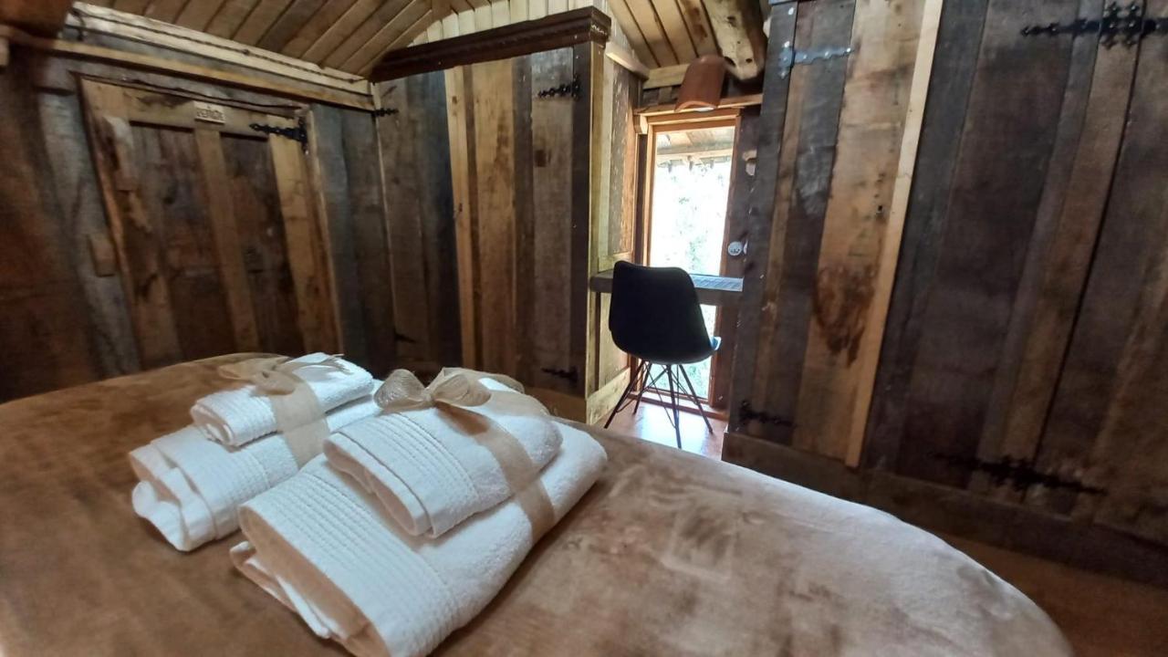 Casa Escuela De Torin - La Casona De Torin Konuk evi Dış mekan fotoğraf